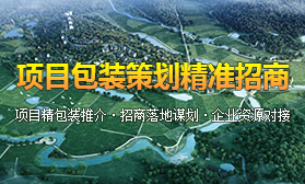 项目包装策划精准招商